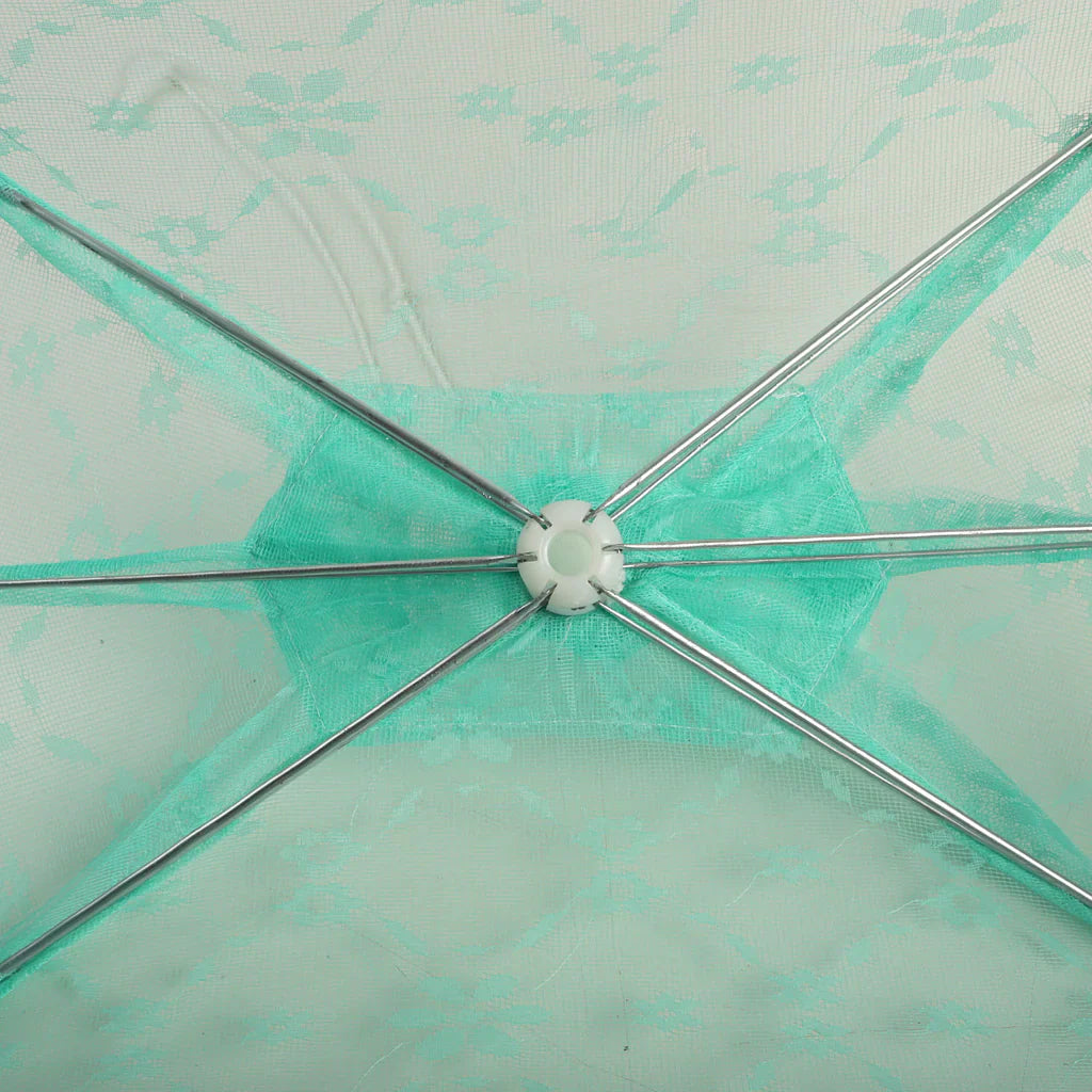 Limited Offer Upto 50% Off